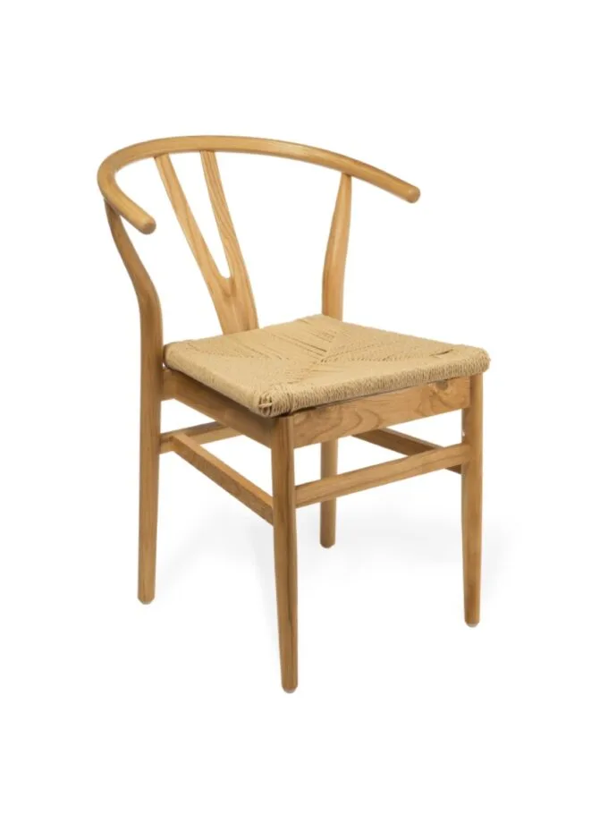 Y Style Modern Chair