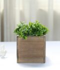 Planter Box Set (Flowers not included) - Image 3