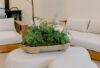Vogue Rentals Showroom Summer 2025 BreanaIsley59 websize &raquo; event rentals &raquo; Vogue Rentals
